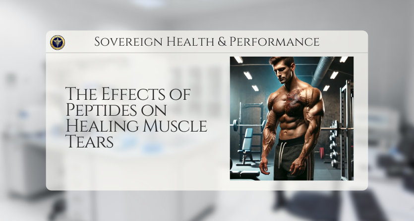 The Effects of Peptides on Healing Muscle Tears