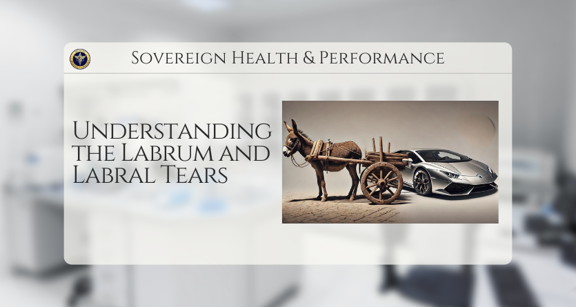 Understanding the Labrum and Labral Tears